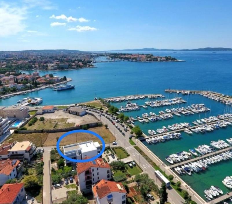 Marija Anchor *